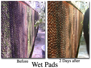 Wet Pads