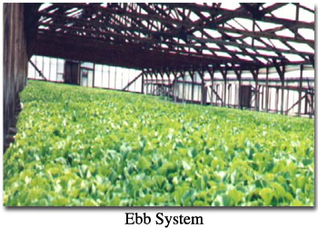 Ebb System