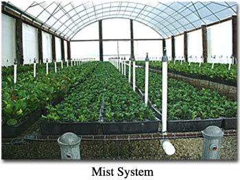 Mist System